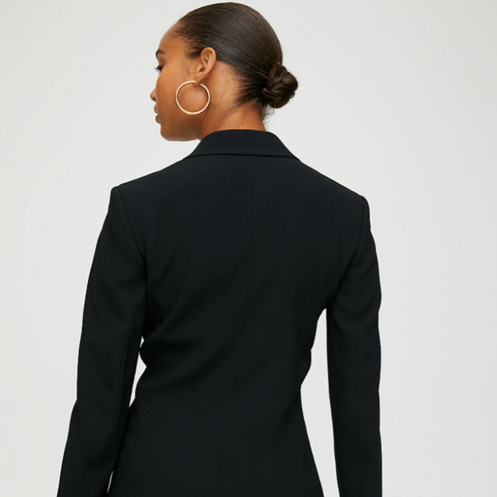 Aritzia Babaton Raine Dress